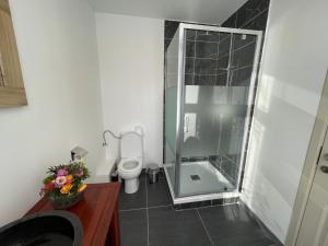 a bathroom with a toilet and a glass shower at Gîtes de la Croisette 1 in Dinant +5 photos