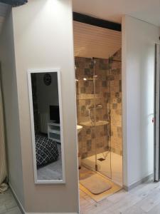 La salle de bains est pourvue d'une douche en verre avec un miroir. dans l'établissement La Chambre de La Pomerie, à Chiché
