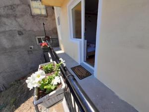 een balkon met 2 potplanten en een deur bij Apartments "La Štabe" - Kruševo in Kruševo