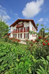 ein Haus auf einem Hügel mit Blumen davor in der Unterkunft Hotel Agian in Itxassou