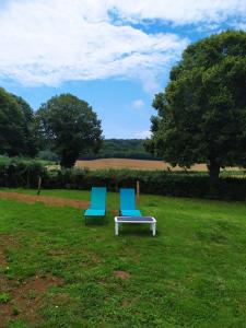 two blue chairs and a table in the grass at La Roulotte de Francine in Chazeuil