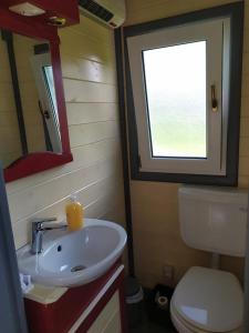 a bathroom with a sink and a toilet and a window at La Roulotte de Francine in Chazeuil