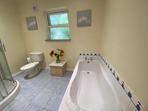 a bathroom with a large tub and a toilet at Orchard Lodge in Glenavy