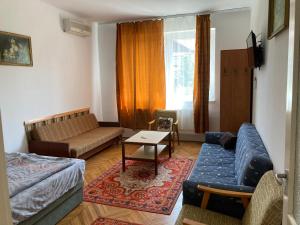 a living room with a couch and a table at Maria Apartman in Nyíregyháza