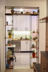 una cocina con armarios blancos y macetas en estanterías en Garden Apartment - Oaza u centru grada en Novi Sad