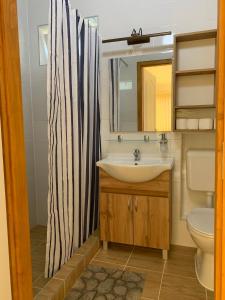 a bathroom with a sink and a shower curtain at Maria Apartman in Nyíregyháza +15 photos