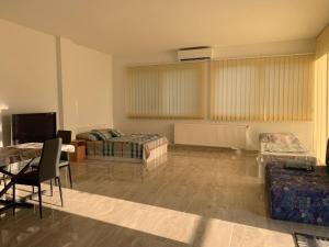 a living room with a couch and a table at Maria Apartman in Nyíregyháza