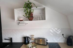 La cuisine est équipée d'un comptoir avec un grille-pain et un grille-pain. dans l'établissement L'Ethnique Chic, à Douai