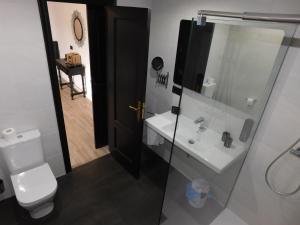 un baño con lavabo e inodoro en HOTEL TERRA GALEGA MEIGA, en Monforte de Lemos