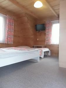 a room with a bed and a tv and windows at U Justynki in Małe Ciche