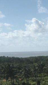 a view of the ocean from a hill with trees at Salinas Exclusive Resort in Salinópolis