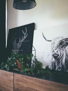 Fotografia z galérie ubytovania Willa Piwniczka Apartament Jahlowej v destinácii Piwniczna