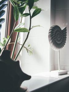 Fotografia z galérie ubytovania Willa Piwniczka Apartament Jahlowej v destinácii Piwniczna