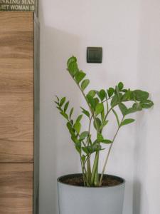 Fotografia z galérie ubytovania Willa Piwniczka Apartament Jahlowej v destinácii Piwniczna