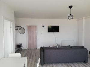 TV a/nebo společenská místnost v ubytování Nordic style Apartaments Floresti