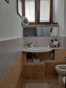 a bathroom with a sink and a toilet at Monolocale rustico di Ariola in Cansano