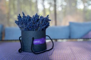 Fotografie z fotogalerie ubytování Hundi Holiday Home Cabin "Paat" v destinaci Hiiessaare