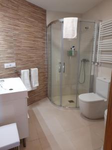 ハライス・デ・ラ・ベラにあるApartamentos Doctor Flemingのシャワー、トイレ、洗面台を備えたバスルーム +18枚の写真