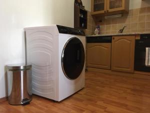 Kuchyň nebo kuchyňský kout v ubytování Apartment Galerie Marie