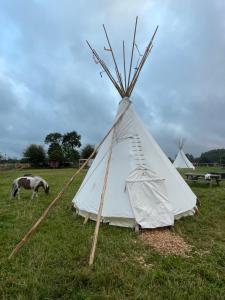 uma tenda branca num campo com um cavalo em Terra-Tipike, Tipi à la ferme entre Terre et Mer em Trébry