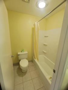 a small bathroom with a toilet and a shower at Elk Inn Motel I-77,Exit 85 in Elkin