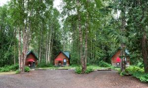 a couple of cottages in the middle of a forest at Across the Creek Cabins in Clearwater