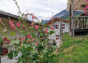 Nespecifikovaný výhled na hory nebo výhled na hory při pohledu z apartmánu