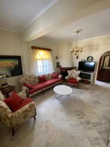 Ikidiki Beach Villa في إيريسوس: غرفة معيشة مع أريكة وطاولة