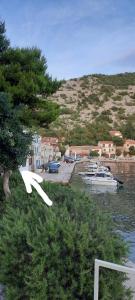 un grupo de barcos están atracados en un puerto en Nives en Starigrad