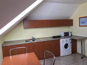 a kitchen with a sink and a washing machine at Ubytovňa Gemini in Gerlachov