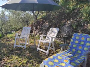 Ogród w obiekcie CasaDolcelago Marone Villa con Giardino Vista Lago Private Parking
