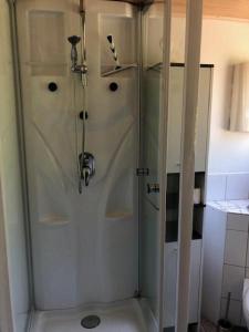 a shower with a glass door in a bathroom at Ferienhäuser 6 & 24 in Freyung