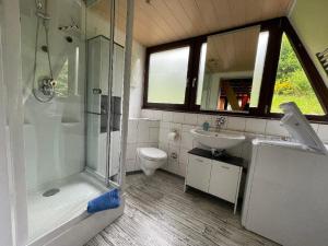 a bathroom with a shower and a sink and a toilet at Ferienhäuser 6 & 24 in Freyung