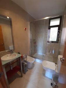 a bathroom with a shower and a toilet and a sink at Ole Málaga in Málaga