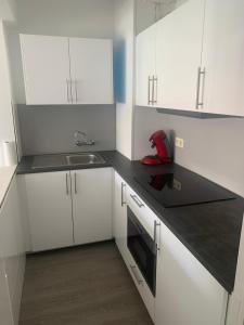 een witte keuken met een wastafel en witte kasten bij Les galets in Middelkerke