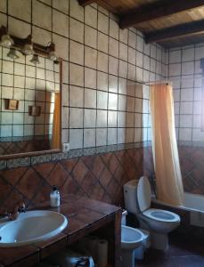 un bagno con lavandino, WC e specchio di Cortijo "Era Grande 2" a Cordoba