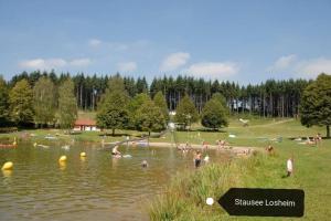 a group of people swimming in a pond in a park at Ferienwohnung Susanne, Losheim am See in Wahlen