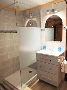 ein Bad mit einer Dusche, einem Waschbecken und einem Spiegel in der Unterkunft La Tannerie in Le Bourg-dʼOisans