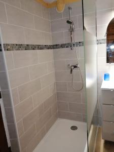 a shower with a glass door in a bathroom at La Tannerie in Le Bourg-dʼOisans