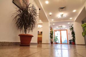 Vstupní hala nebo recepce v ubytování Plus Hotel