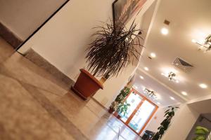 Fotografie z fotogalerie ubytování Plus Hotel v destinaci Craiova