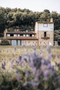 un edificio en medio de un campo con flores púrpuras en La casa del tartufo, en Torri in Sabina