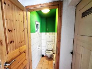 a bathroom with a toilet with a green wall at Work& Stay Apartment mit 2 Schlafzimmern in Reutlingen