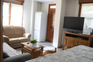 a living room with a television and a couch at Casa Rural Las Mestas in Cangas del Narcea