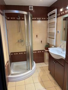 a bathroom with a shower and a sink at Apartament Podłęska in Krakow
