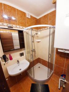 a bathroom with a shower and a sink at Apartment House Kamzik 26 in Donovaly