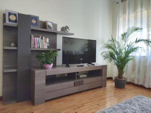 sala de estar con TV de pantalla plana en un centro de entretenimiento en Atlantico Flat Douro, en Oporto