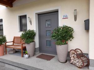 Gallery image of Appartement Hochmuth in Ramsau im Zillertal