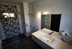 uma casa de banho com um lavatório e um espelho em Pensiunea Palace em Baile Felix