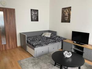 Televízia a/alebo spoločenská miestnosť v ubytovaní Černý Tulipán - Apartmán 1